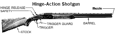 [shotgun.gif]